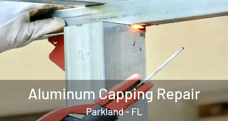  Aluminum Capping Repair Parkland - FL