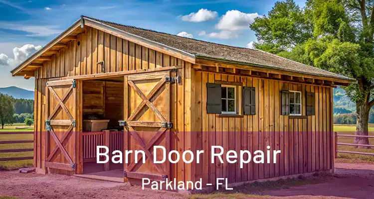  Barn Door Repair Parkland - FL
