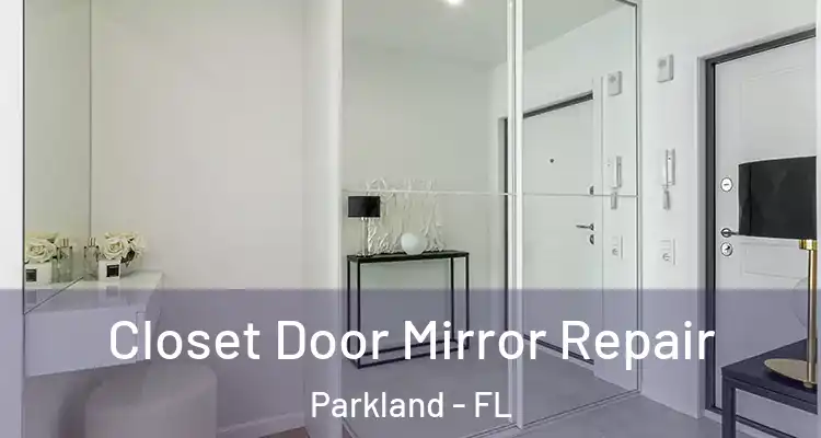  Closet Door Mirror Repair Parkland - FL