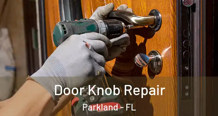  Door Knob Repair Parkland - FL