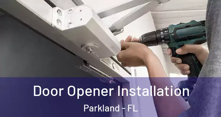  Door Opener Installation Parkland - FL