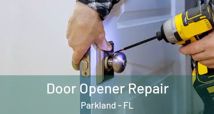  Door Opener Repair Parkland - FL