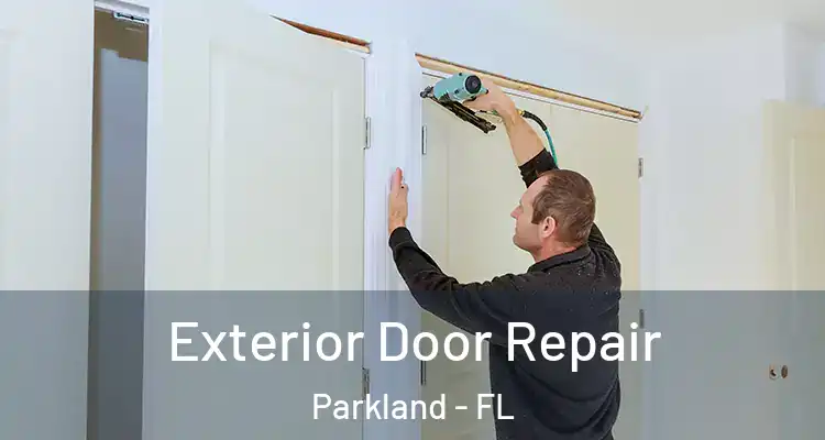  Exterior Door Repair Parkland - FL