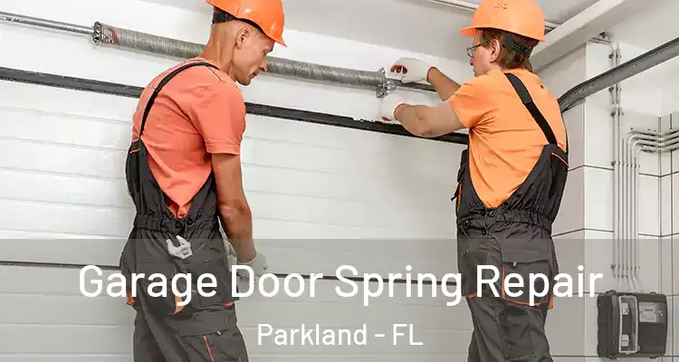  Garage Door Spring Repair Parkland - FL