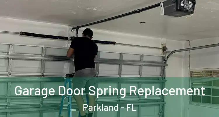  Garage Door Spring Replacement Parkland - FL