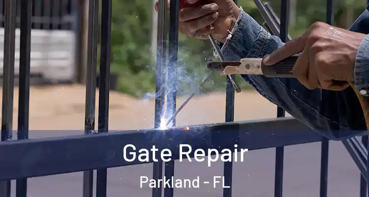  Gate Repair Parkland - FL