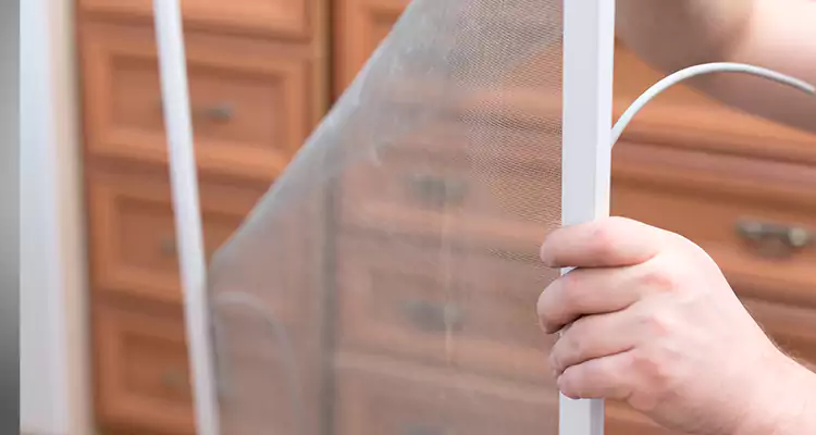 Privacy Mesh Screen Door Installation in Parkland, FL