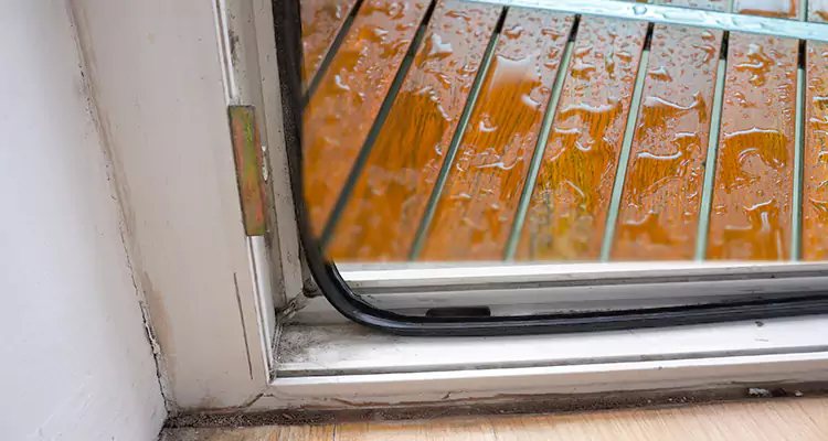 Water Leaking Wooden Patio Doors Repair in Parkland, FL
