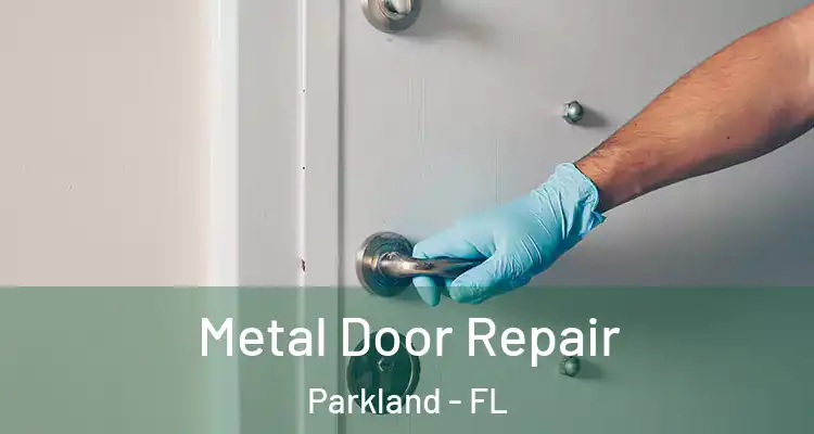  Metal Door Repair Parkland - FL