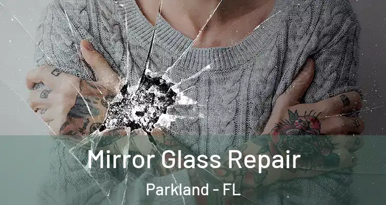  Mirror Glass Repair Parkland - FL