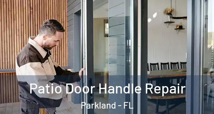  Patio Door Handle Repair Parkland - FL