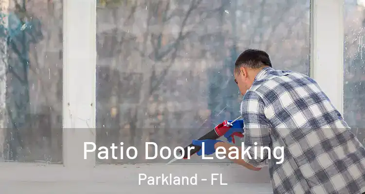 Patio Door Leaking Parkland - FL