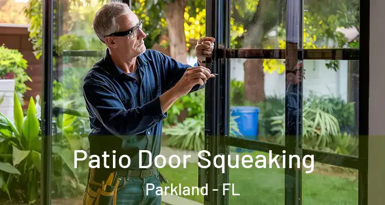  Patio Door Squeaking Parkland - FL