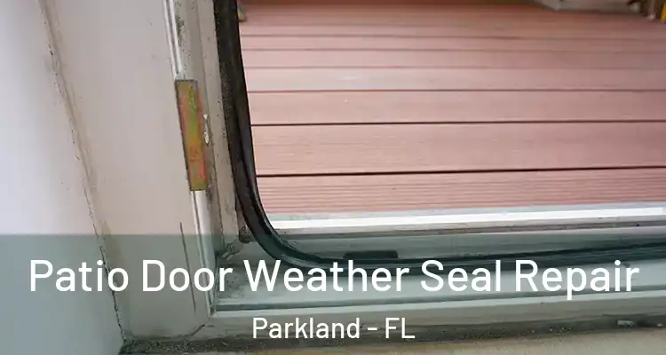  Patio Door Weather Seal Repair Parkland - FL