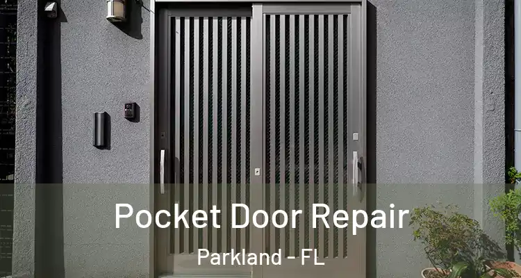  Pocket Door Repair Parkland - FL