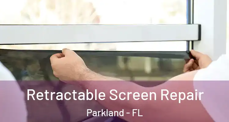  Retractable Screen Repair Parkland - FL