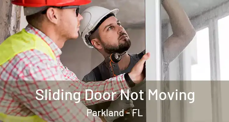  Sliding Door Not Moving Parkland - FL