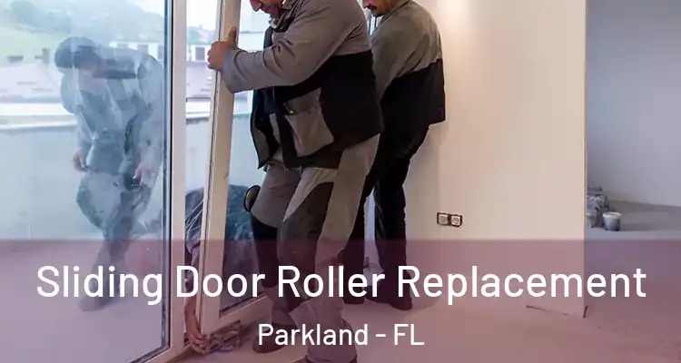  Sliding Door Roller Replacement Parkland - FL
