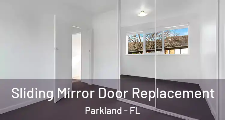  Sliding Mirror Door Replacement Parkland - FL