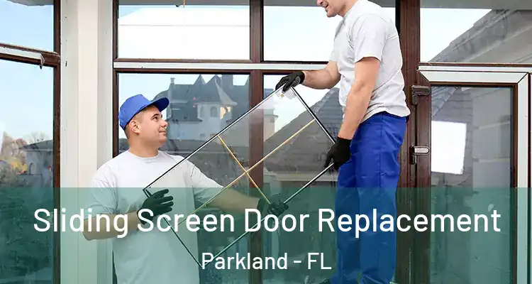 Sliding Screen Door Replacement Parkland - FL