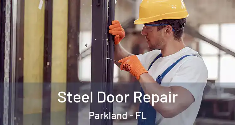  Steel Door Repair Parkland - FL