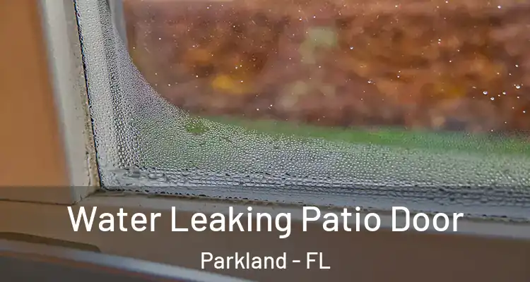 Water Leaking Patio Door Parkland - FL