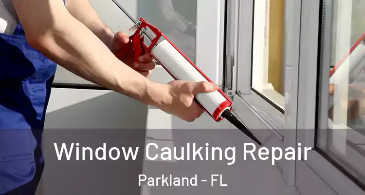  Window Caulking Repair Parkland - FL