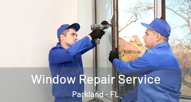  Window Repair Service Parkland - FL